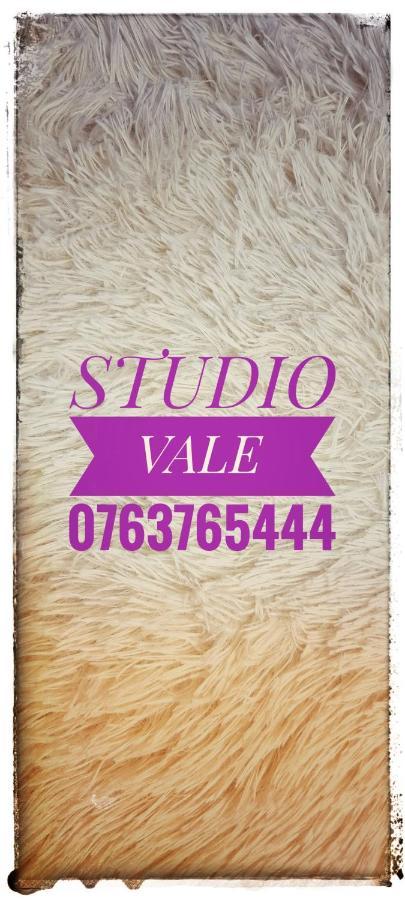 Апартаменты Studio Vale Хунедоара Экстерьер фото